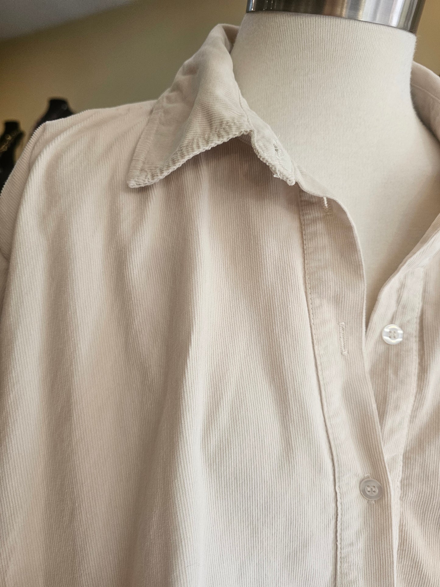 Chemise blousante velours Johanna Paris
